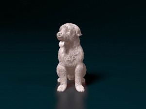 Catalan Sheepdog Modelo de Impressão 3D