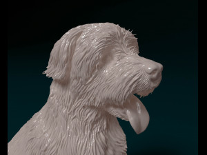 Catalan Sheepdog Modelo de Impressão 3D