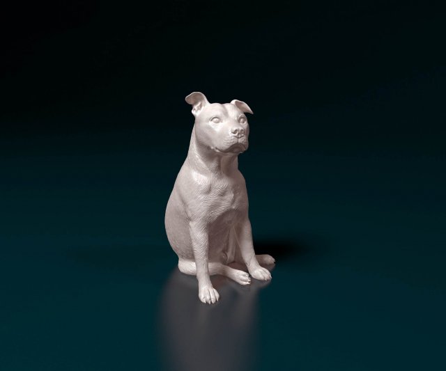 Staffordshire Bull terrier 07 3D Принт Модель .c4d .max .obj .3ds .fbx .stl .blend 