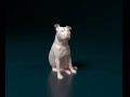Staffordshire Bull terrier 07 3D प्रिंट मॉडल