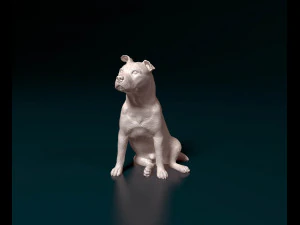 Staffordshire Bull terrier 07 3D Print Model