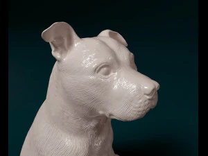 Staffordshire Bull terrier 07 3D Print Model