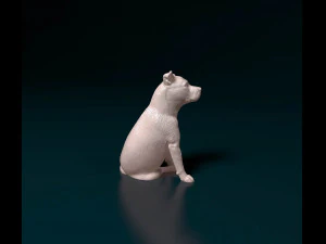 Staffordshire Bull terrier 07 3D Print Model