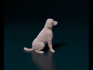 Labradoodle 3D Baskı Modeli
