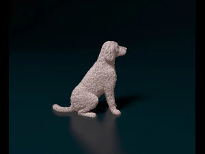 Labradoodle 3D Print Model