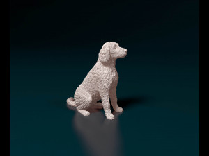 Labradoodle 3D Baskı Modeli
