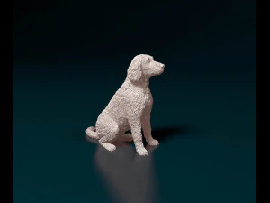 Labradoodle 3D Print Model