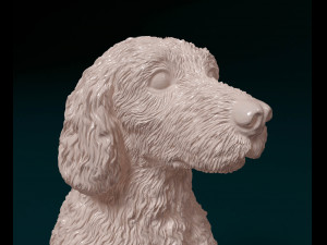 Labradoodle 3D Baskı Modeli