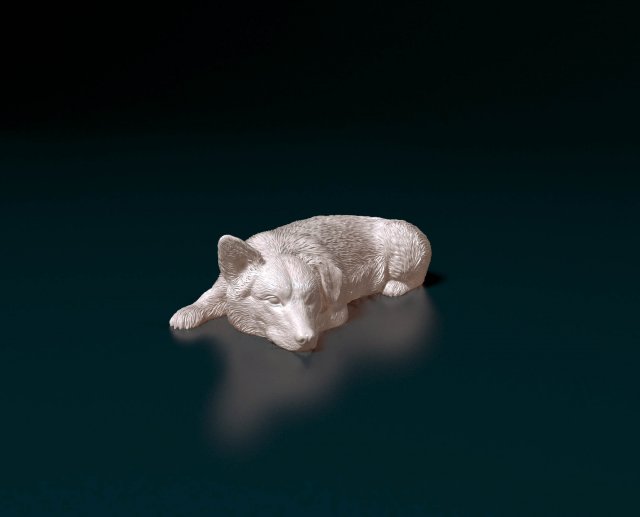 Pembroke Welsh Corgi Modèles 3D en vedette .c4d .max .obj .3ds .fbx .stl .blend 