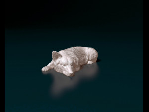 Pembroke Welsh Corgi 3D Print Model