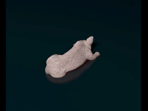 Pembroke Welsh Corgi 3D Print Model