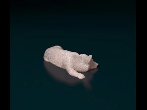Pembroke Welsh Corgi 3D Print Model