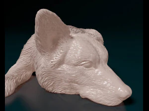 Pembroke Welsh Corgi 3D Print Model