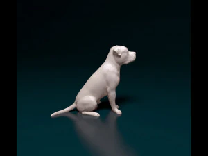 Pitbull 07 3D Print Model