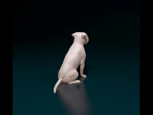 Pitbull 07 3D Print Model