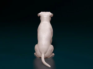Pitbull 07 3D Print Model