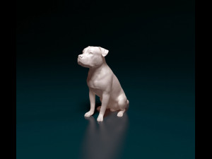 Pitbull 07 3D प्रिंट मॉडल