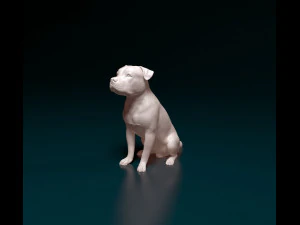 Pitbull 07 3D Print Model