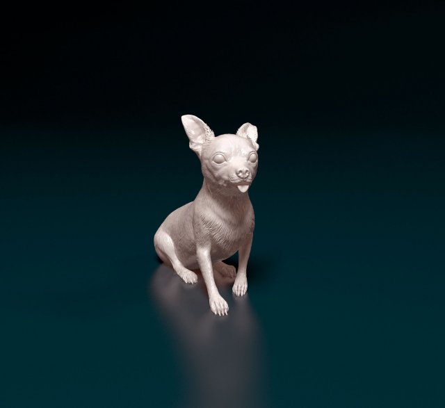 Chihuahua 07 Modello di stampa 3D .c4d .max .obj .3ds .fbx .stl .blend 