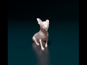 Chihuahua 07 3D-Druckmodell
