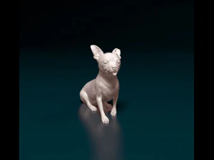 Чихуахуа 07 3D Принт Модель