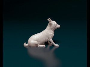 Chihuahua 07 Modello di stampa 3D