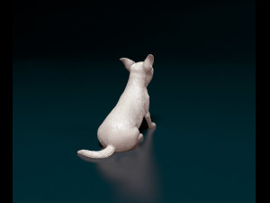 Chihuahua 07 Modello di stampa 3D