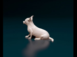 Chihuahua 07 Modello di stampa 3D