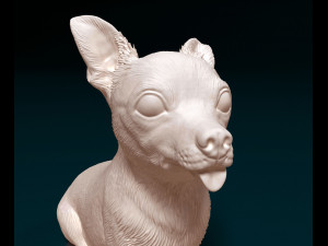 Chihuahua 07 Modello di stampa 3D