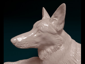 German Shepherd 07 3D Print Model