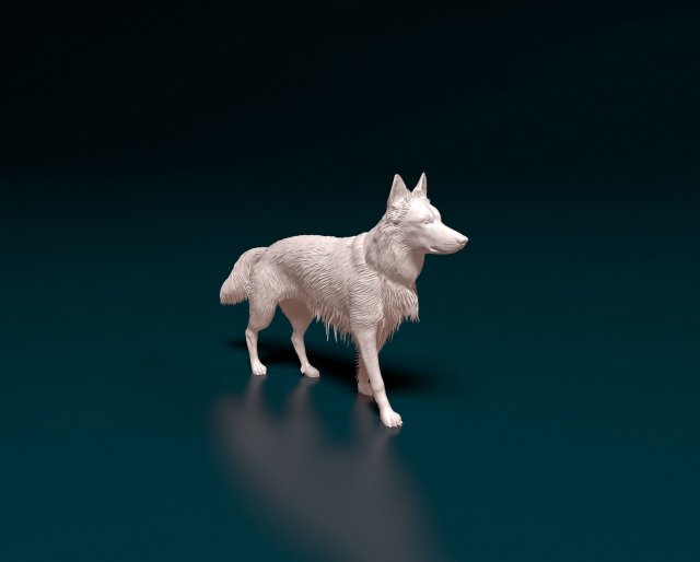 German shepherd 08 Modelo de Impressão 3D .c4d .max .obj .3ds .fbx .stl .blend 