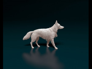 German shepherd 08 Modelo de Impressão 3D