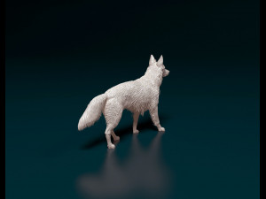 German shepherd 08 Modelo de Impressão 3D