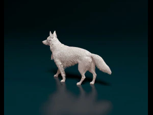German shepherd 08 3D Print Model
