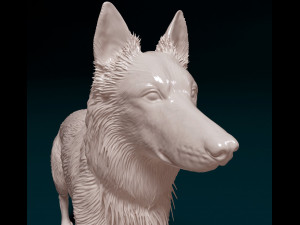 German shepherd 08 Modelo de Impressão 3D