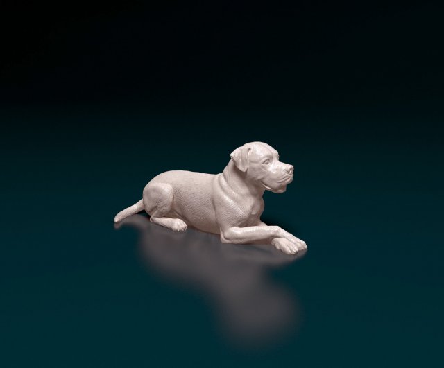 American Bulldog 05 Model Cetak 3D .c4d .max .obj .3ds .fbx .stl .blend 