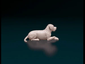 American Bulldog 05 3D Print Model