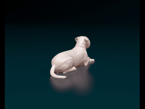 American Bulldog 05 Model Cetak 3D