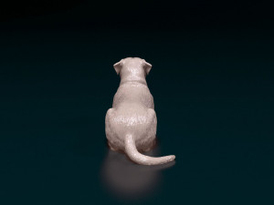 American Bulldog 05 Model Cetak 3D
