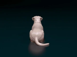 American Bulldog 05 3D Print Model