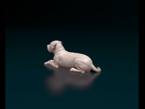 American Bulldog 05 Model Cetak 3D