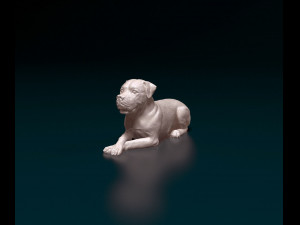 American Bulldog 05 Model Cetak 3D