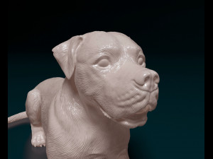 American Bulldog 05 Model Cetak 3D
