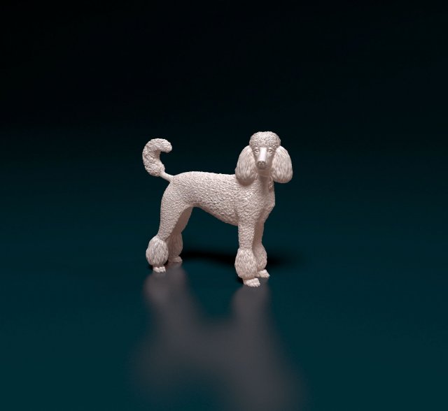 Poodle 05 3D printmodel .c4d .max .obj .3ds .fbx .stl .blend