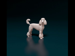 Poodle 05 Modelo de impresión 3D