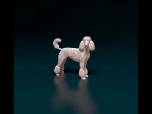 Пудель 05 3D Принт Модель