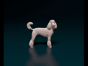 Poodle 05 3D printmodel