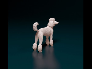 Poodle 05 3D printmodel