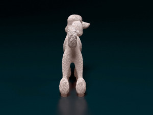 Poodle 05 3D printmodel