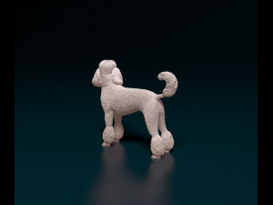 Poodle 05 3D printmodel